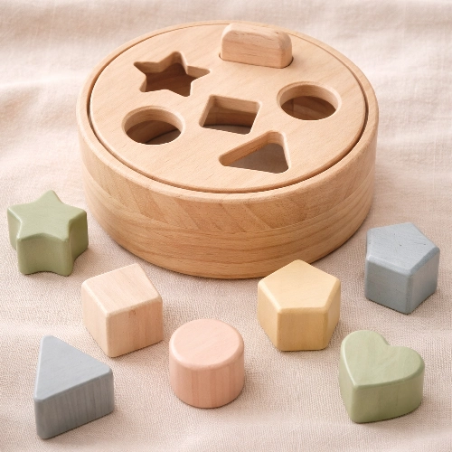 Shape Sorting Toys